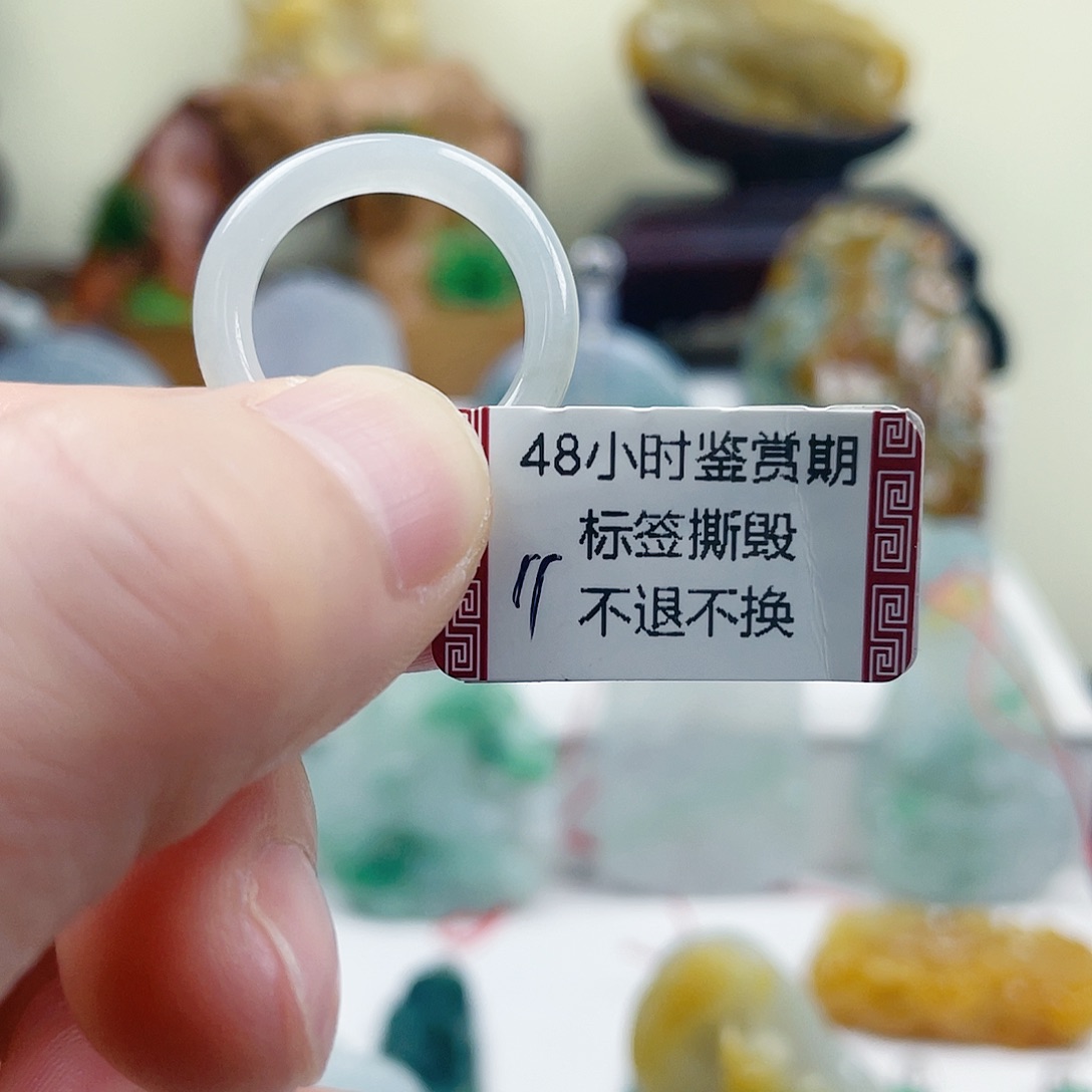 翡翠未镶嵌颈饰2222