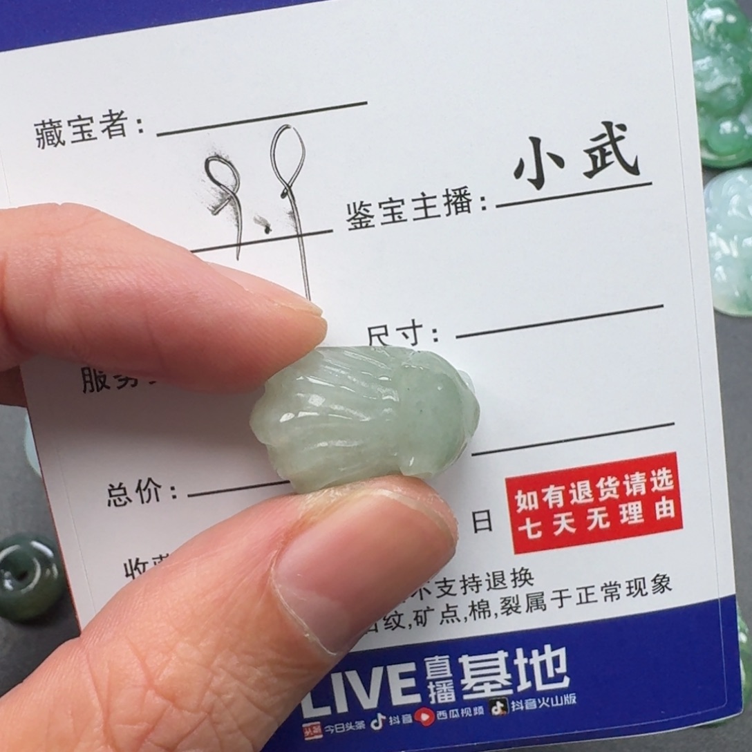 翡翠未镶嵌颈饰     44