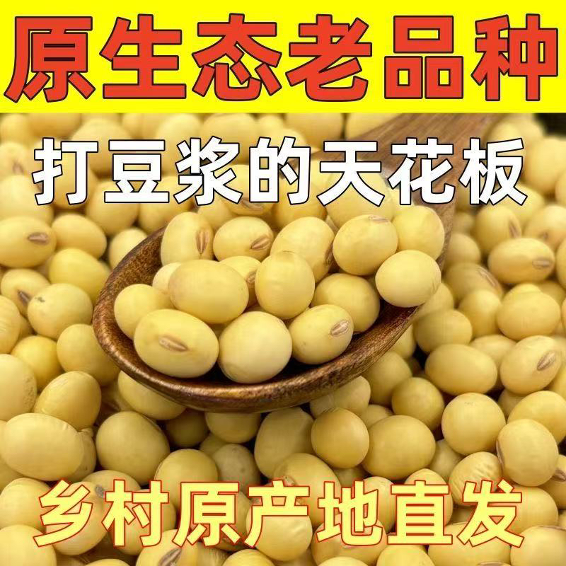 非转基因优质黄豆可打豆浆做豆腐农家新货