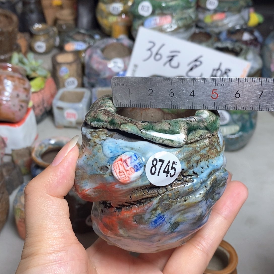 拍2送一个小礼物