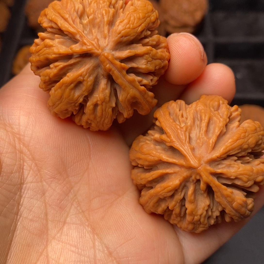 文玩核桃把件秦岭野生核桃