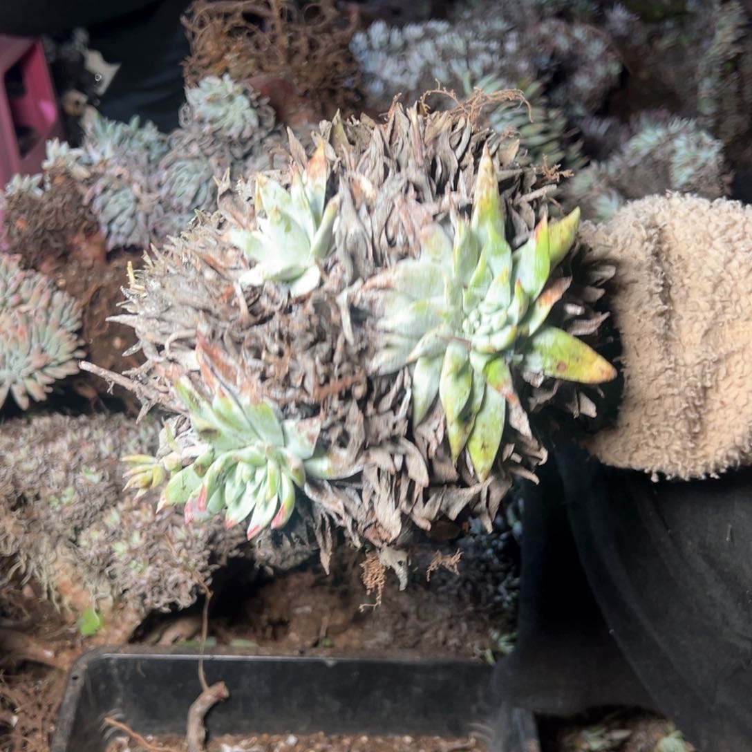 5760哈哈哈哈哈哈哈哈