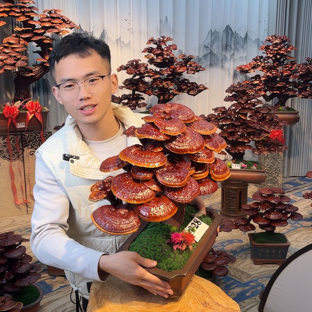 无花朵888888888888