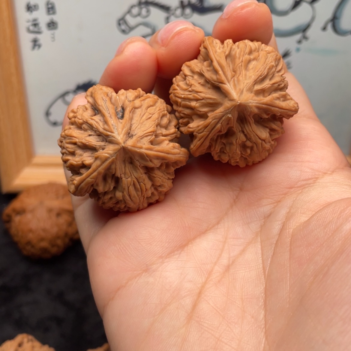 【闪购商品】文玩核桃把件35全品文山奔