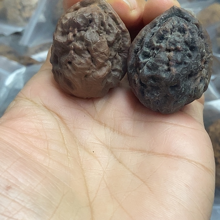 文玩核桃把件云南铁核桃基地3