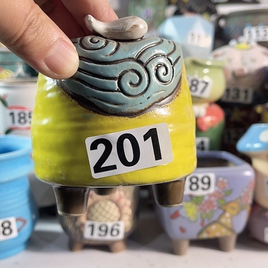 红陶多肉植物花盆