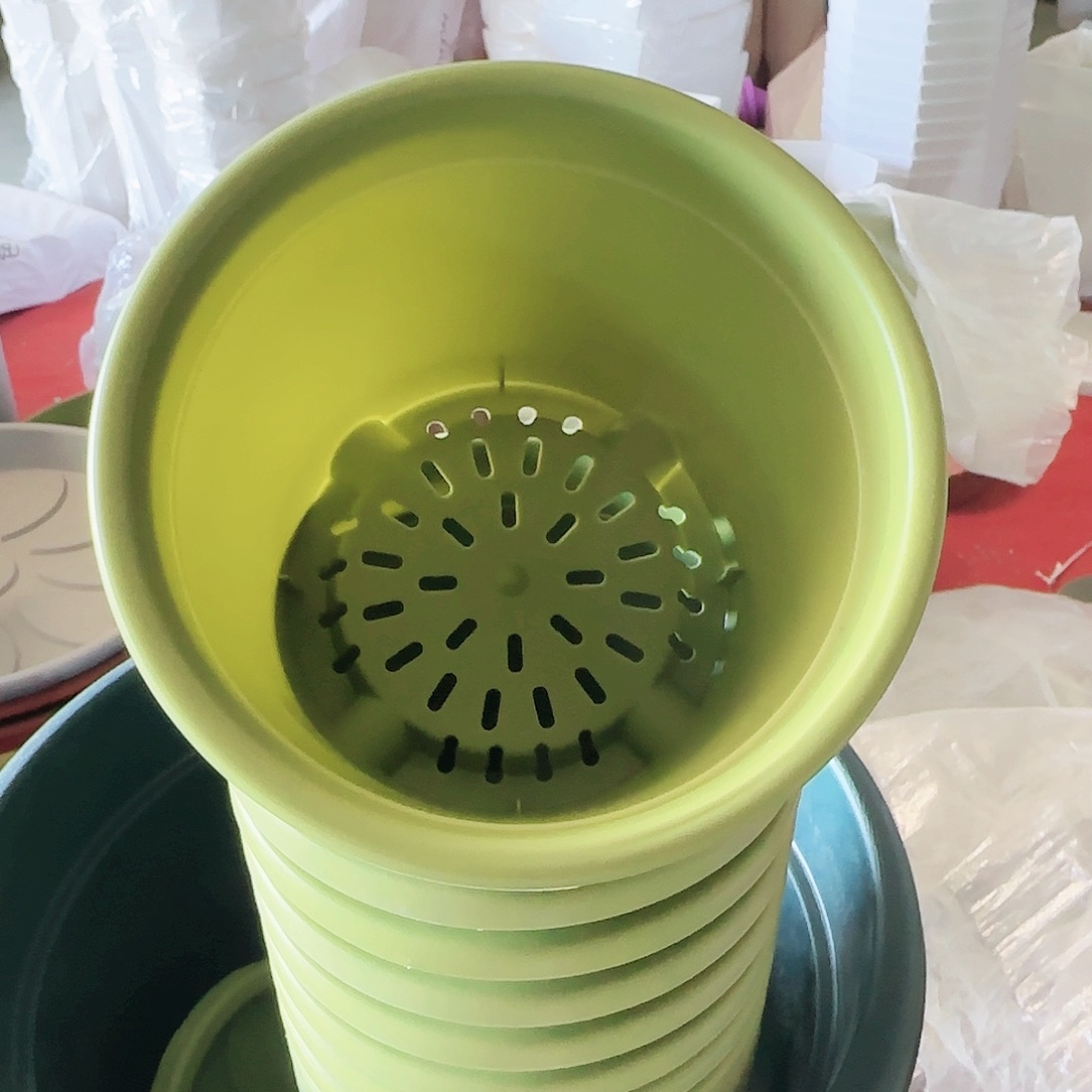 树脂四季1号10个无拖果绿