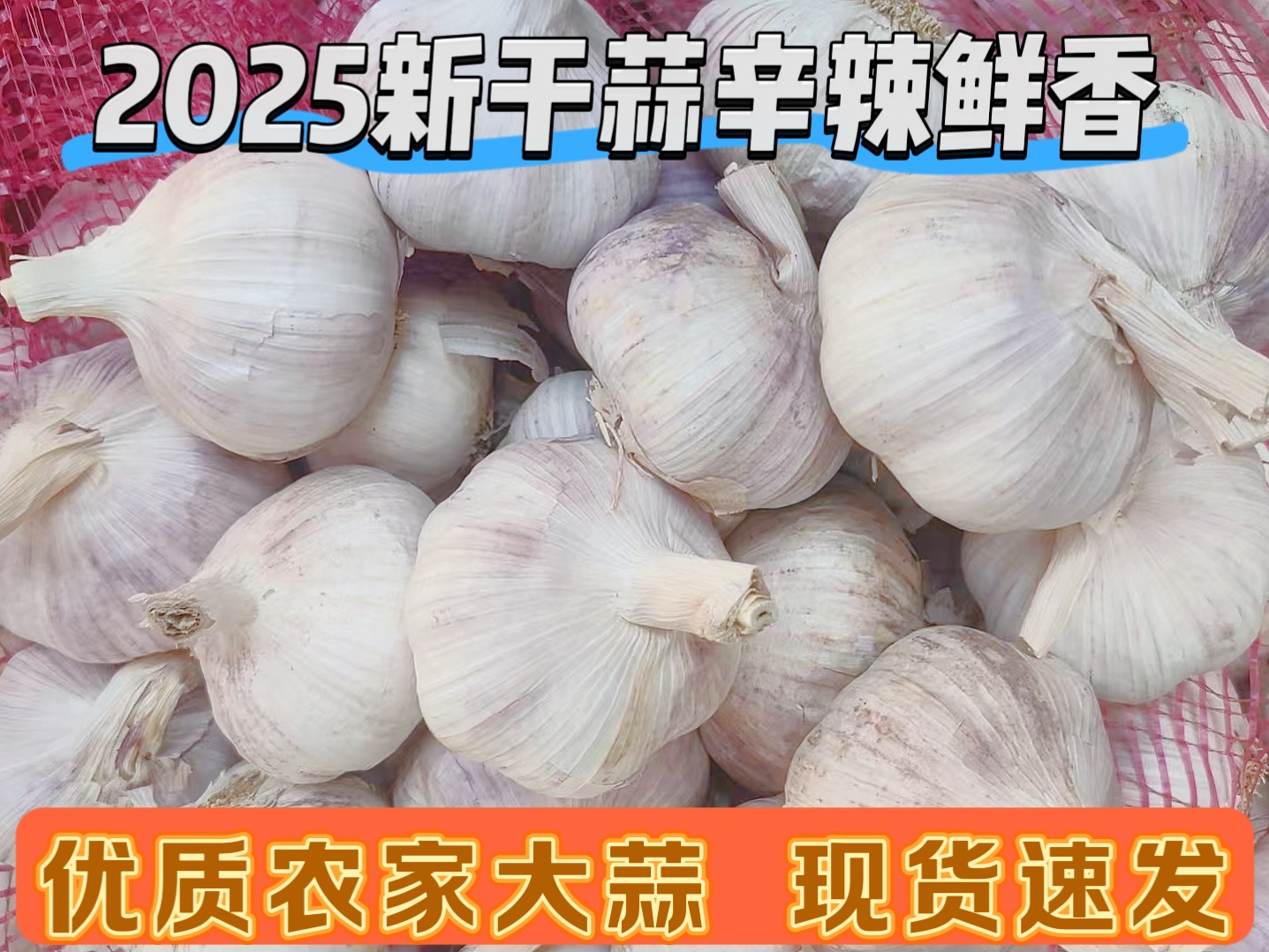 2025农家紫白皮干蒜辛辣提香