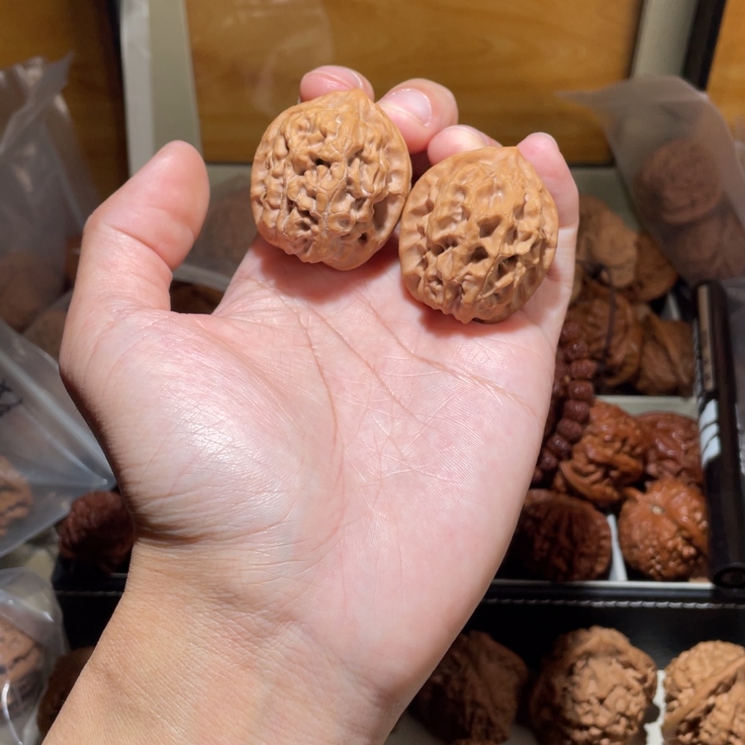 ****窝36尺寸核欢狮子头