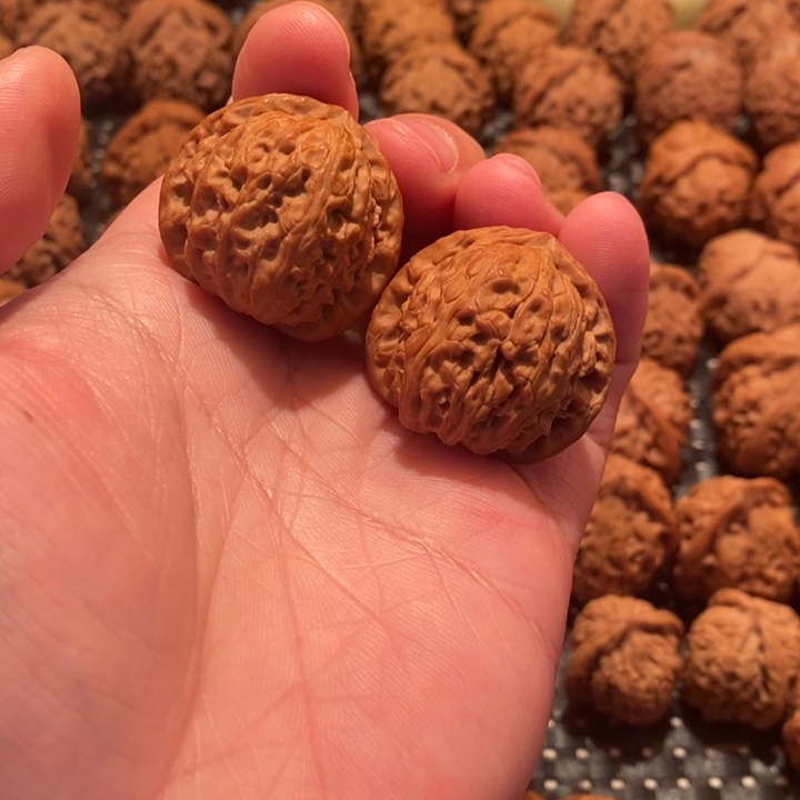 吊坠文玩核桃ᝰ**ꪝ白狮子