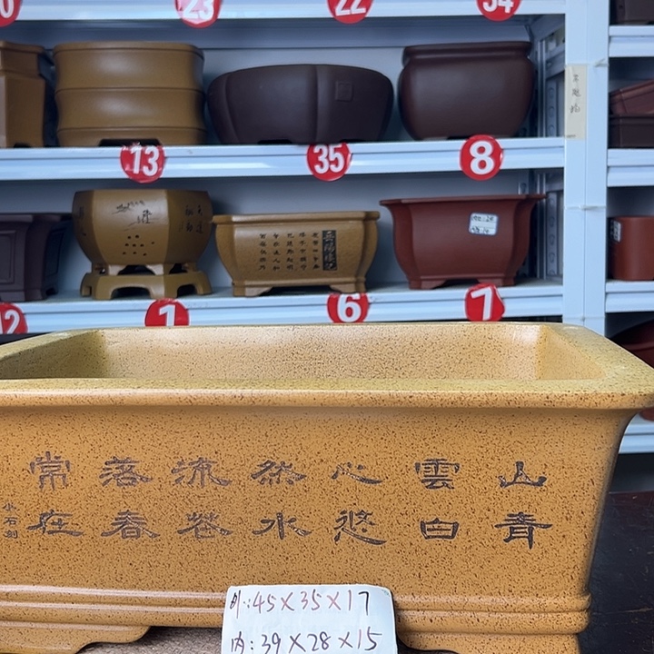 花盆紫砂蛇年大吉