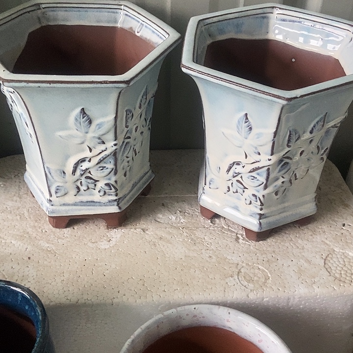 红糖18。。。。18。。。。。。。。