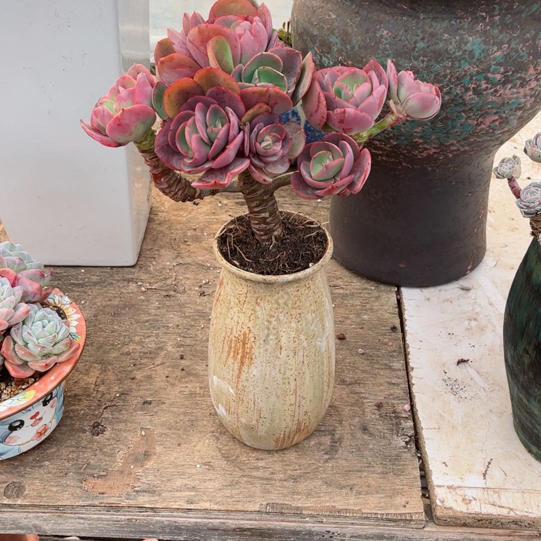 你是不是在．．．．．．你。你