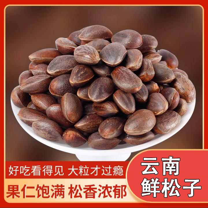 云南松子新鲜大颗粒落水散装松仁薄壳坚果孕妇生松子无添加