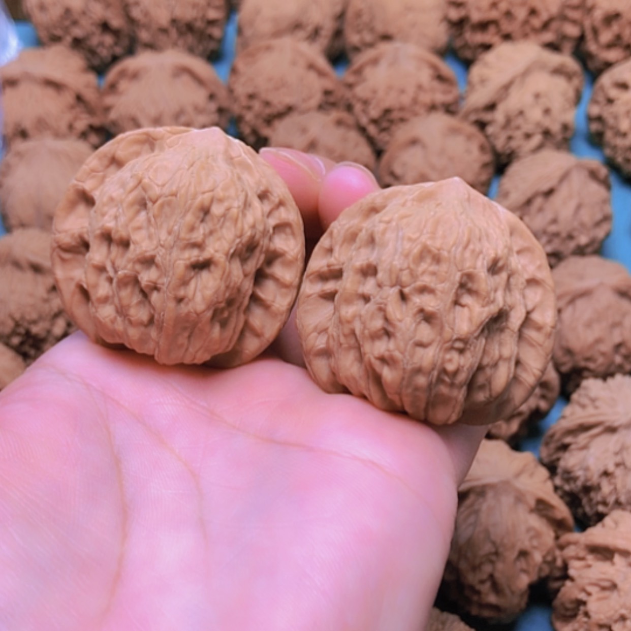 【闪购商品】摆件核桃你*！39崔凯公子