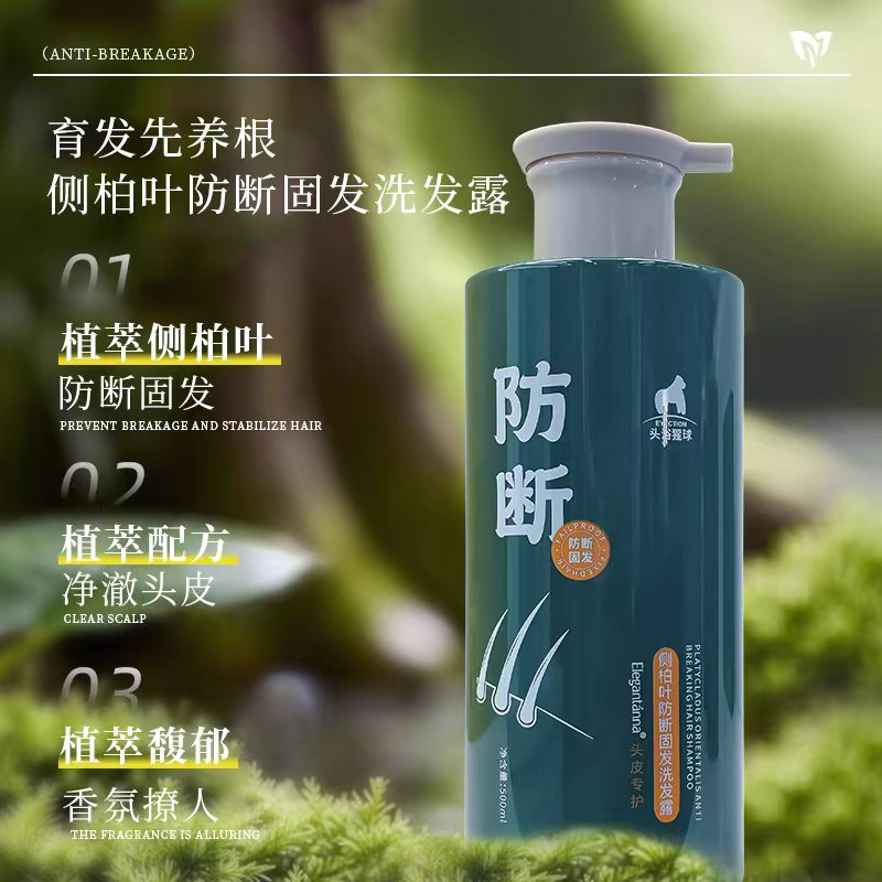 侧柏叶防断固发控油蓬松洗发露