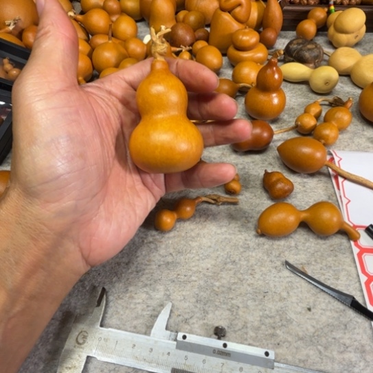 兰***葵蓝葵的一把蓝盔的一把小小八包喝了