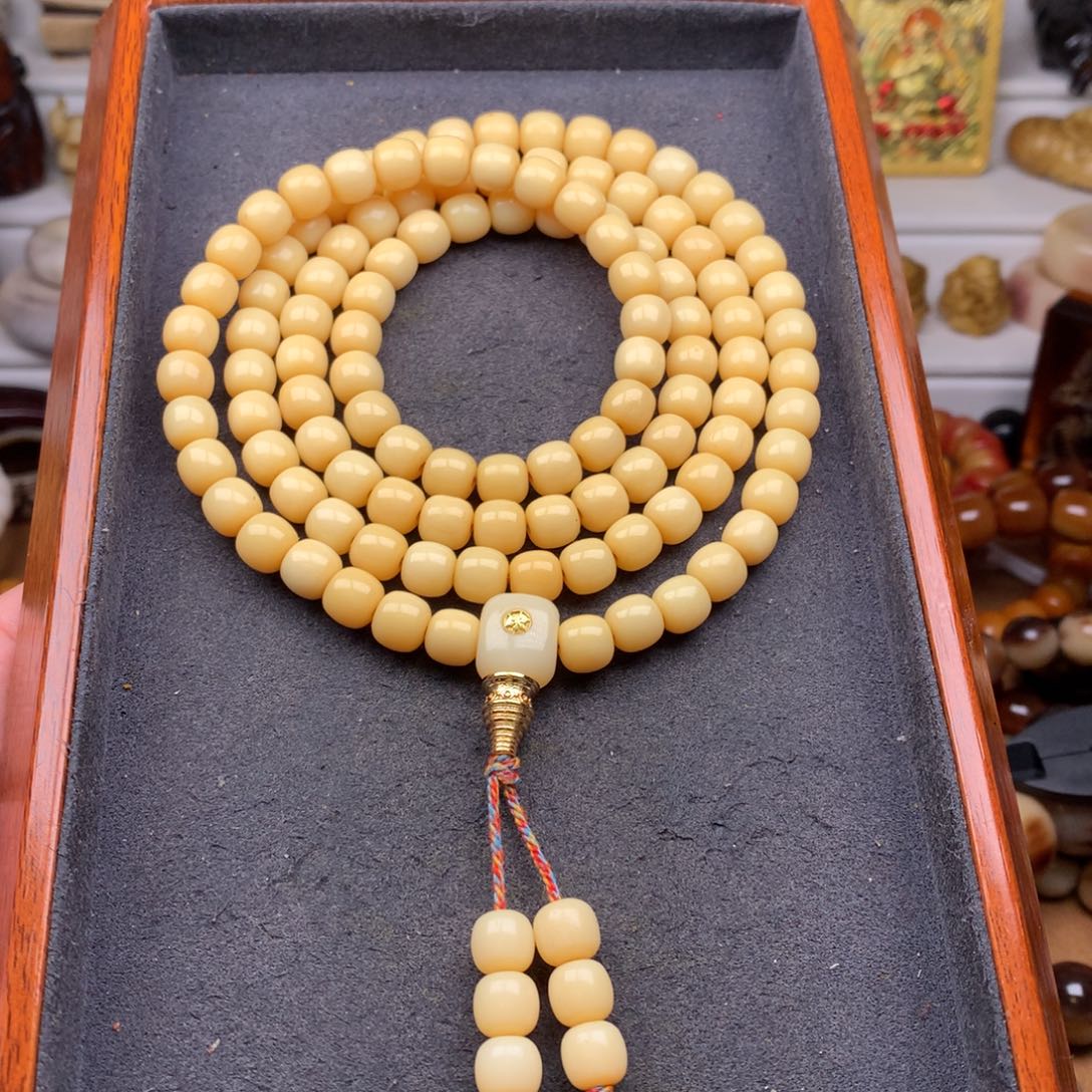 驼骨其他天天都在盘  8