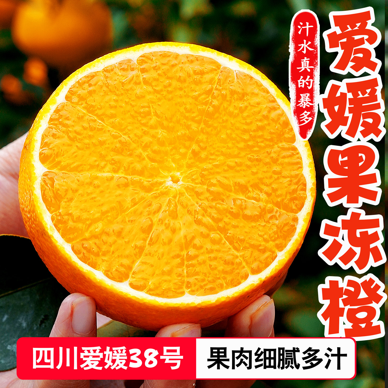 四川爱媛38号果冻橙新鲜现摘4/4.5/8斤爆甜多汁细腻化渣
