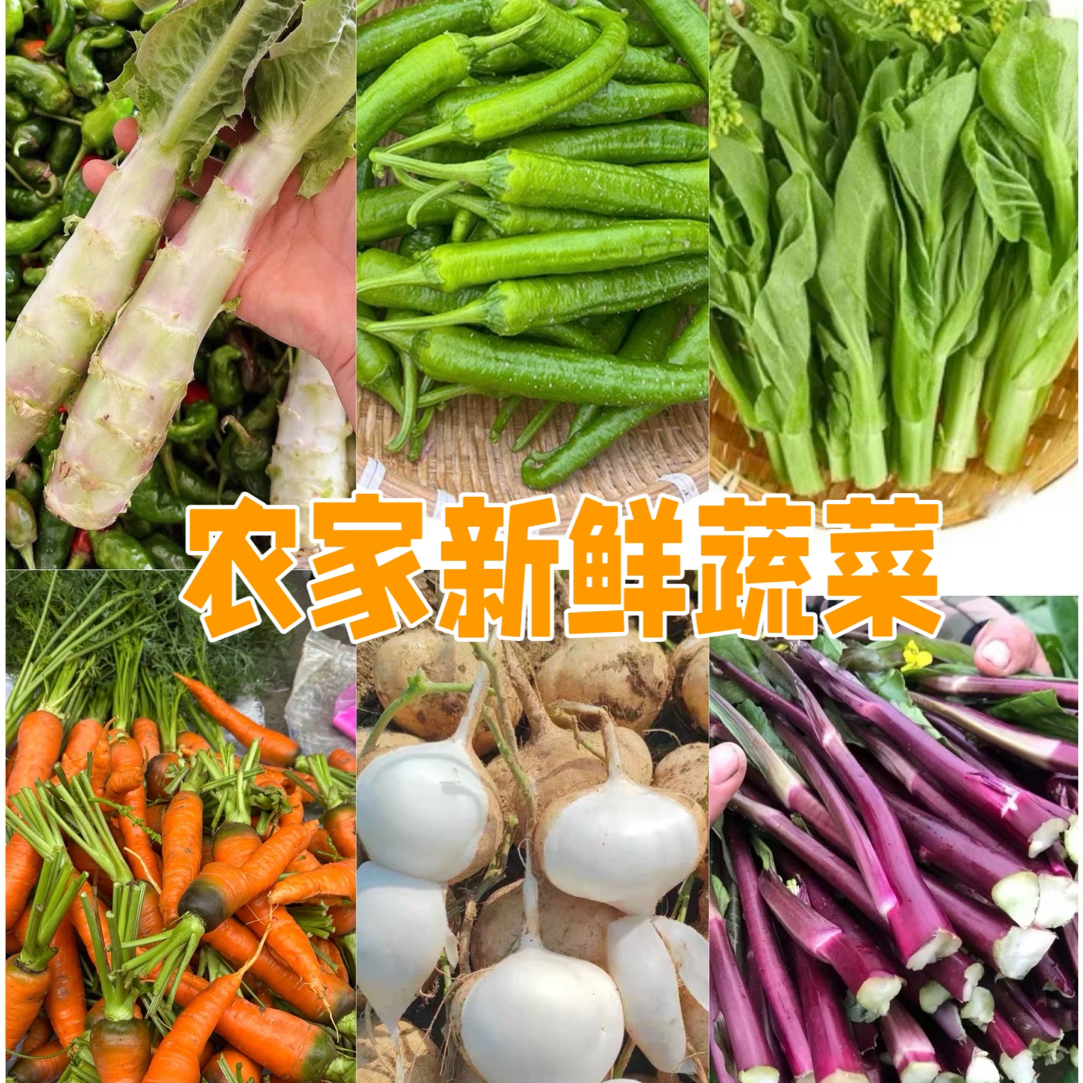 各种蔬菜 农家蔬菜新鲜现采