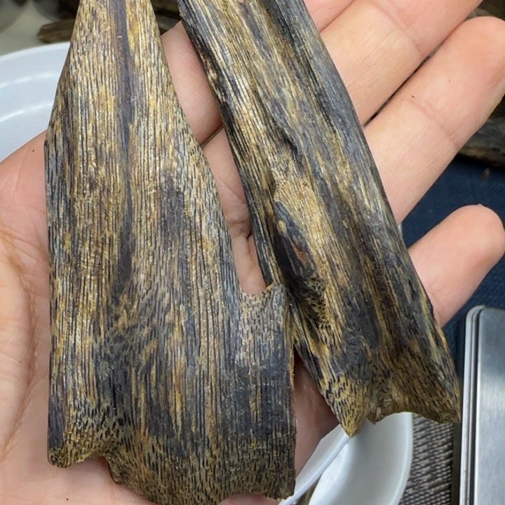 楠木道**然奇楠天然虫漏香17克