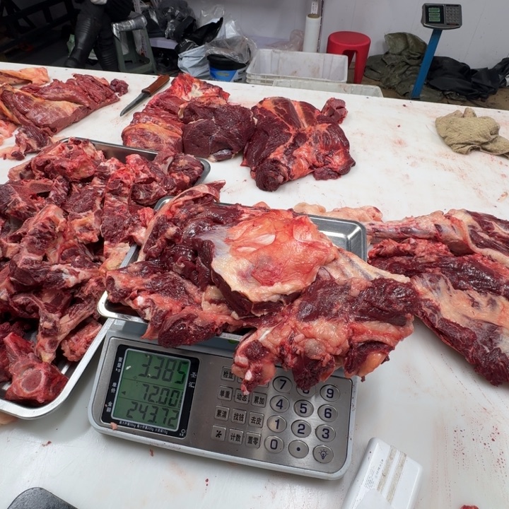 12个月中国大陆马燕赤