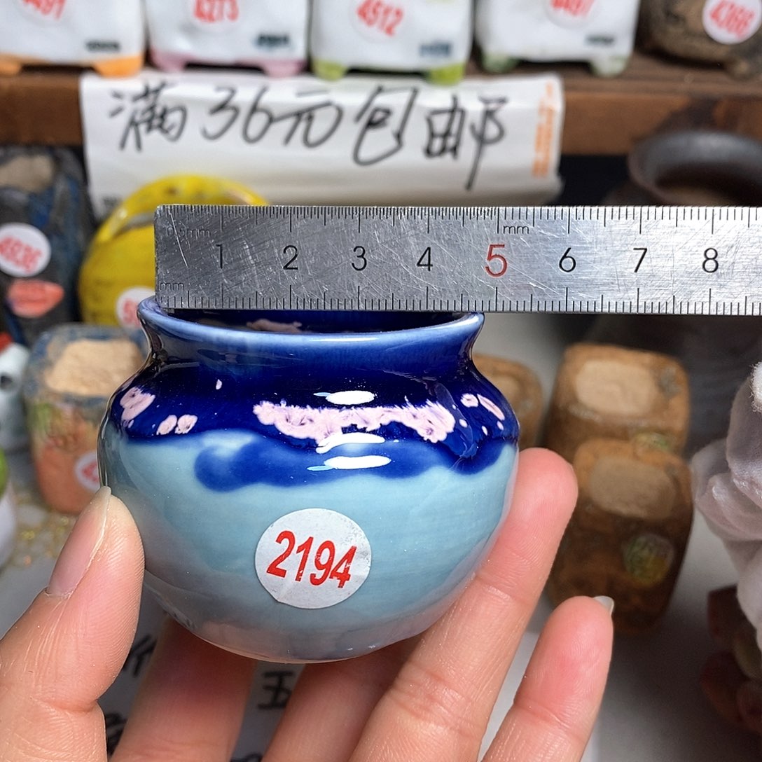 红陶拍5送一个小