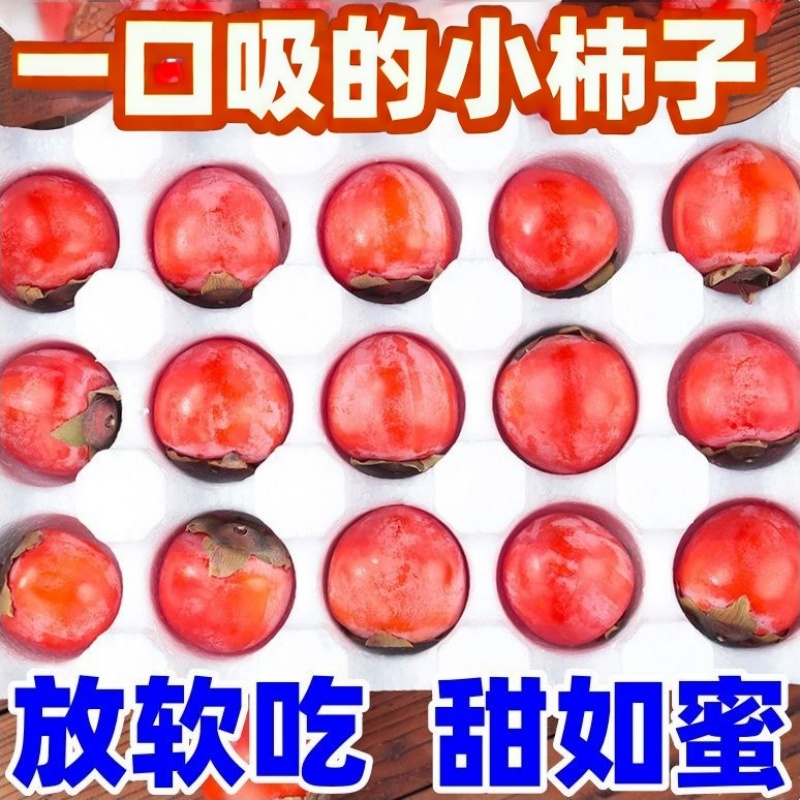 吊红柿子45枚装珍珠蜜柿新鲜糖心小柿子灯笼红软柿子放软火晶柿子