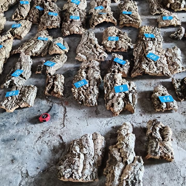 完全开放顺顺利利，平平安安