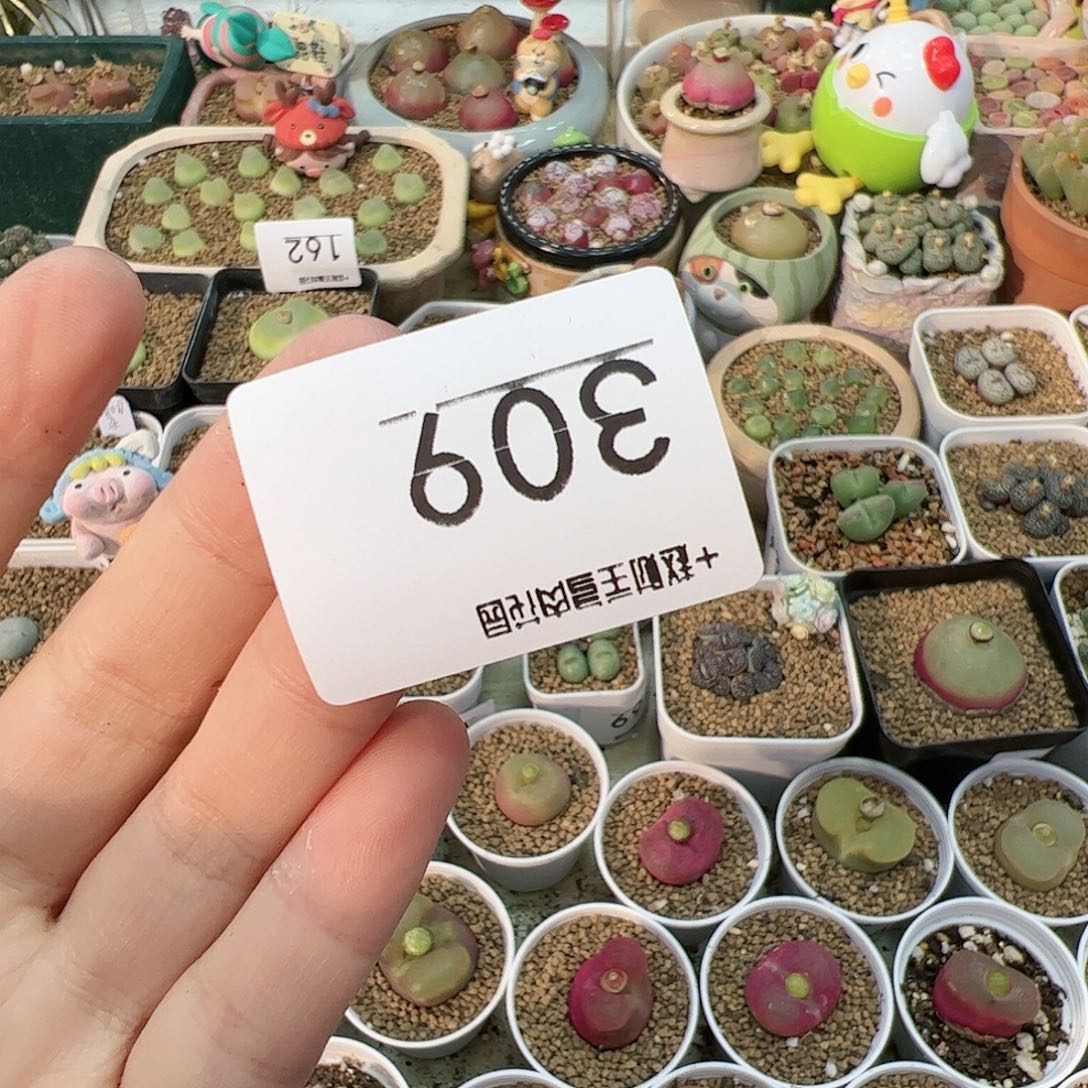 【闪购商品】?***汁309 全部