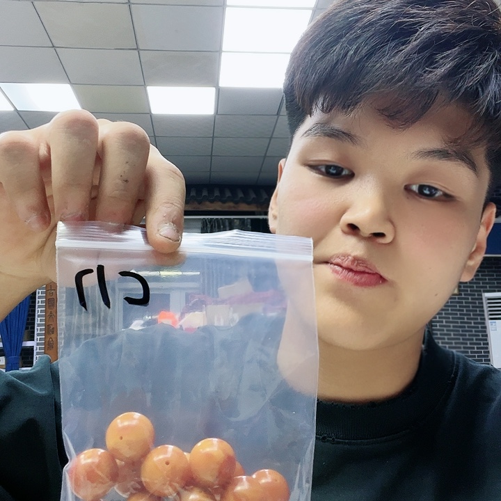 香榧木C17?????!!!!!!