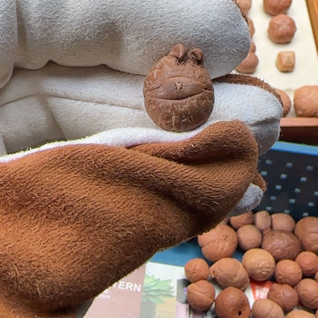 凤眼菩提吊坠J****?凤眼菩提