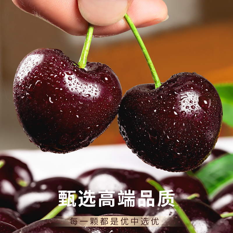 JG智利进口车厘子2斤新鲜水果拉宾斯大樱桃2J