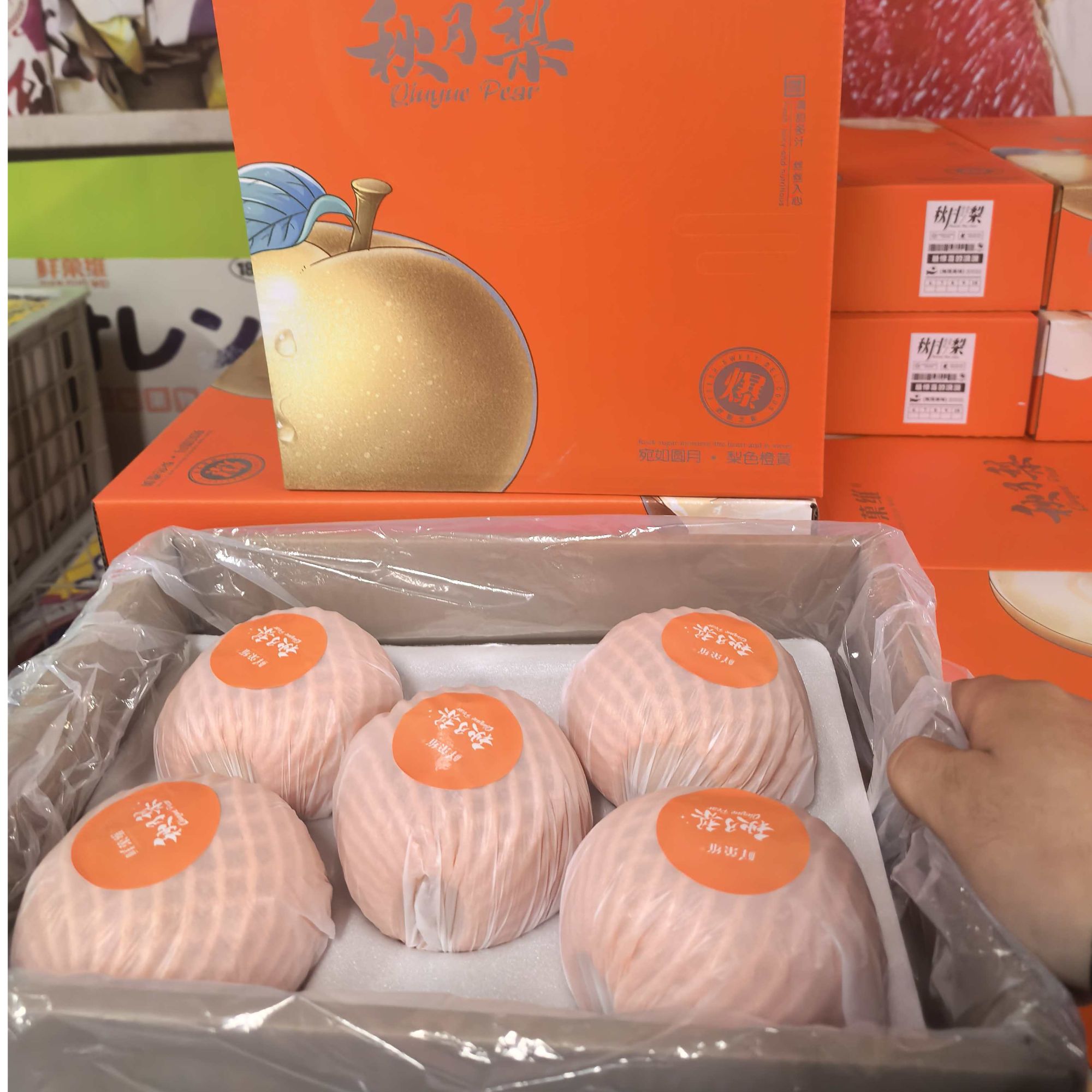 《礼盒装》鲜果维莱阳秋月梨 鲜甜多汁新鲜水果 顺丰包邮g山东省山东省