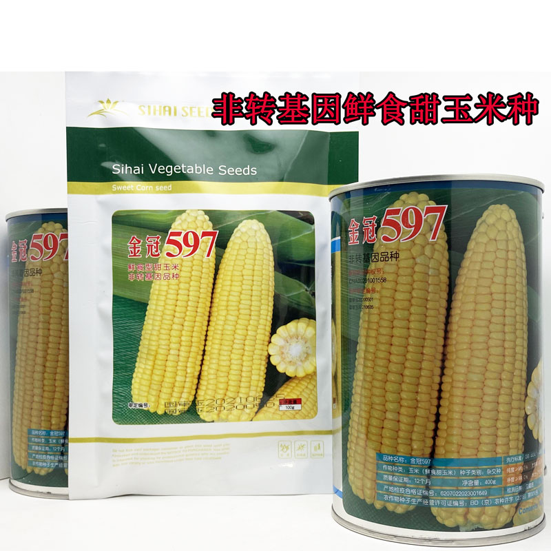 金冠597黄甜水果玉米种籽高产大棒非转超甜纯黄甜玉米种子