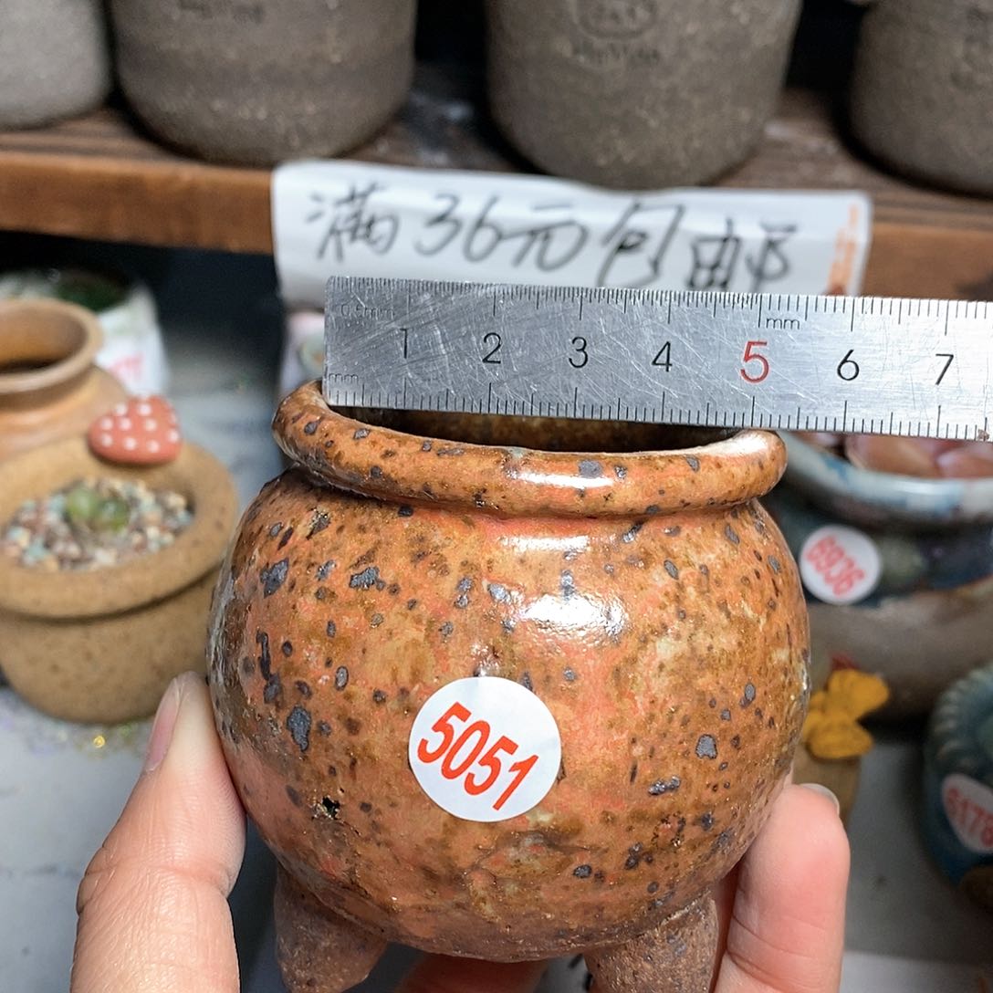 红陶拍5送一个小