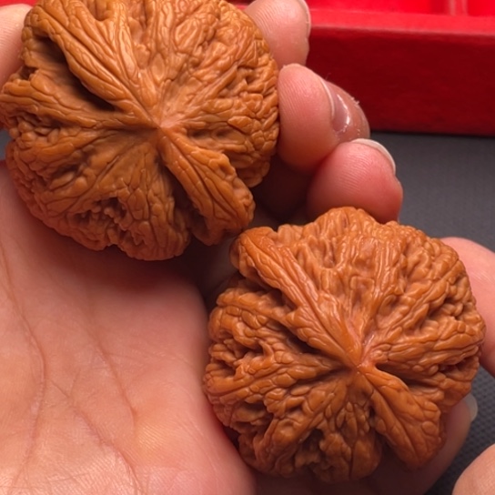 文玩核桃把件秦岭山脉核桃