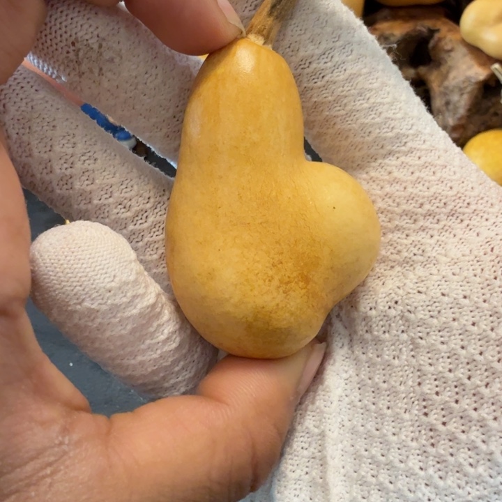 ****禾66…………………………………………