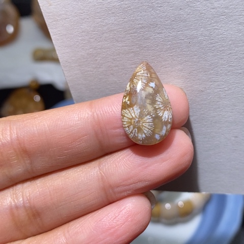 【闪购商品】硅化玉颈饰未镶嵌