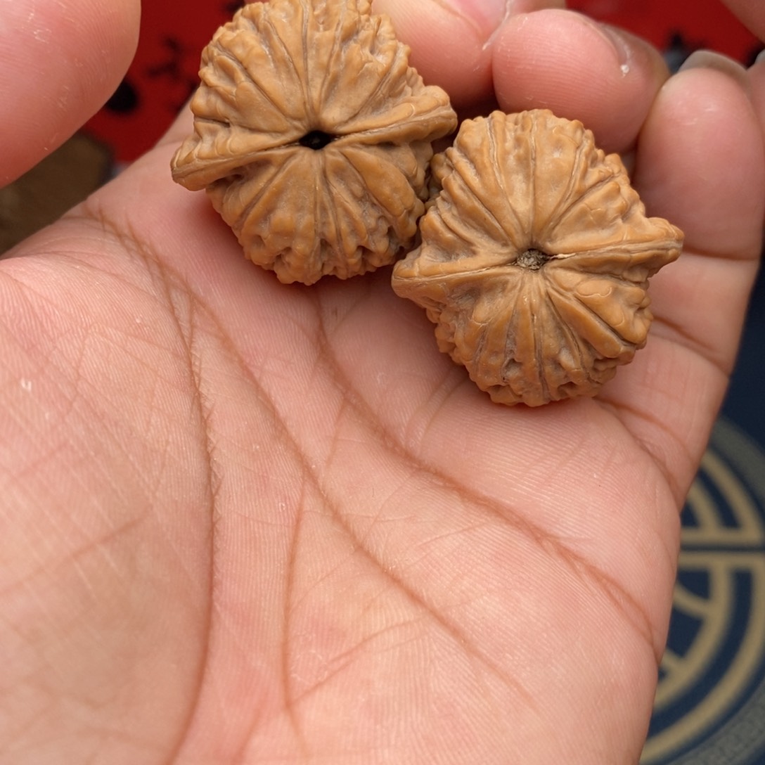 文玩核桃吊坠平谷血麒麟全品无修