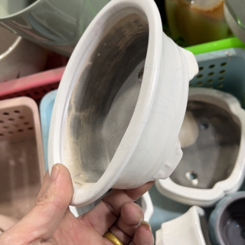 ［所有订单凑满15明天发］15×11×5