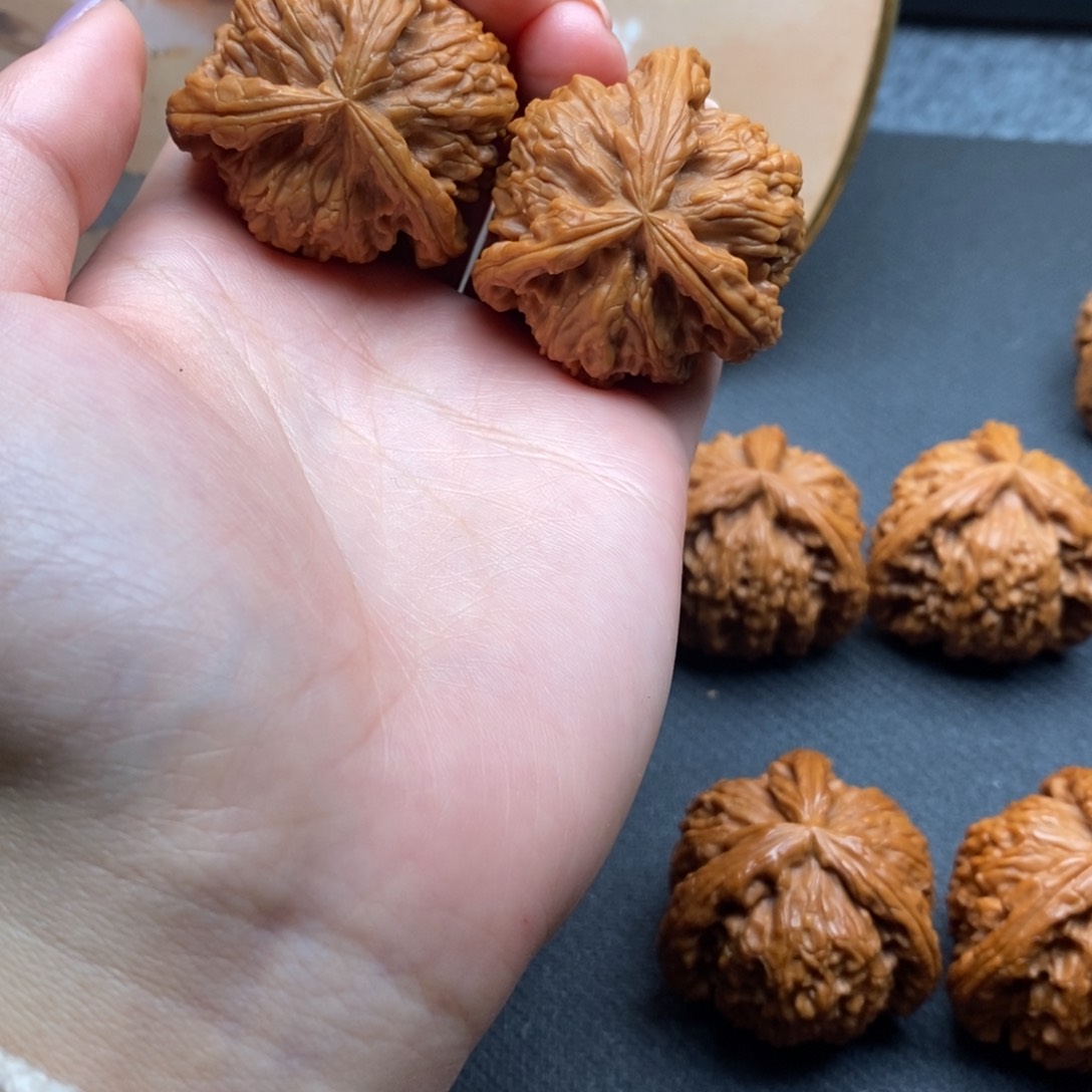 圣**生白狮子1111111111