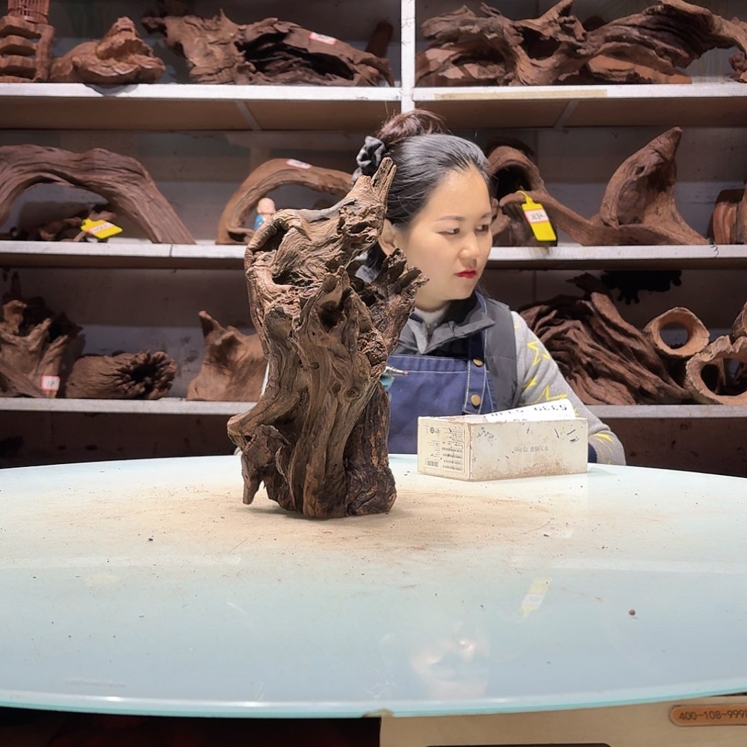 倍褚沉木不包损必褪色与**争5333