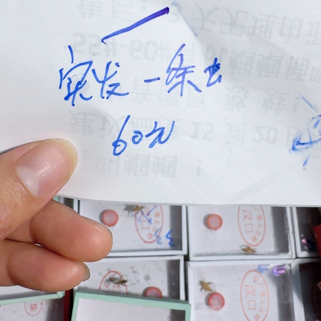 用***3蟋蟀蝈蝈你的电话打的是长途加