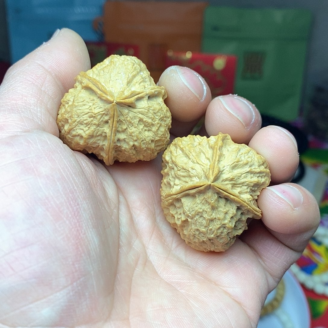 菩提根/象牙果把件l****y核桃层次