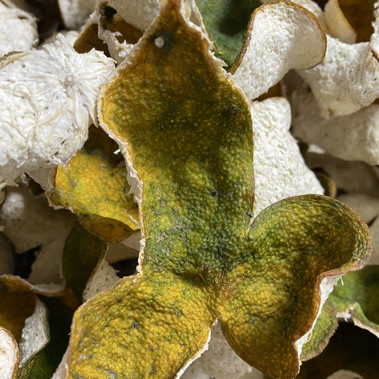 东甲牛肶围三哥家6～9年树龄纯圈枝细种油身柑二红皮收藏好货500克