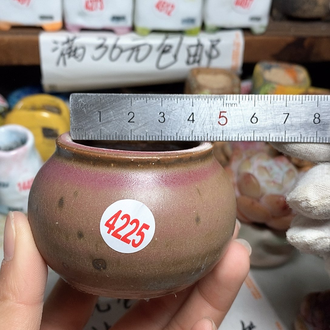 红陶拍5送一个小