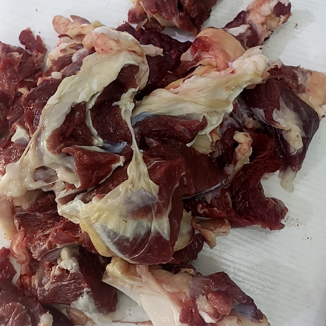 清真牛胸口羊棒骨黄膘羊头牛骨牛窝骨黄牛牛肉牛边角料抬头僵尸