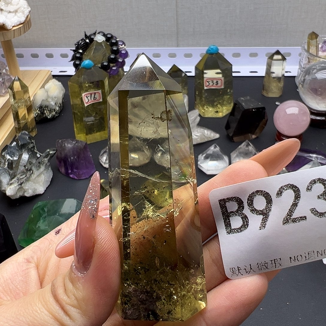 巴***鸟未镶嵌珠宝半成品水晶