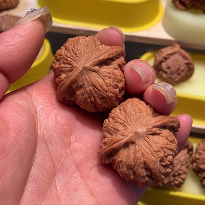 官方网站发布消息显示